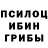 Галлюциногенные грибы Cubensis echoO1337