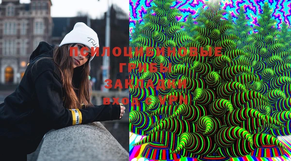 мдпв Крымск