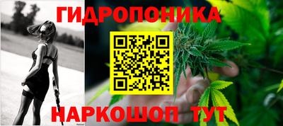 a pvp Жуковский