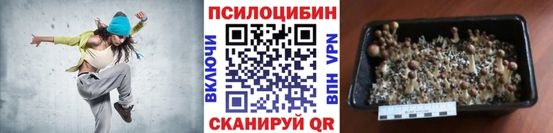 Псилоцибиновые грибы Psilocybine cubensis OMG зеркало Междуреченск