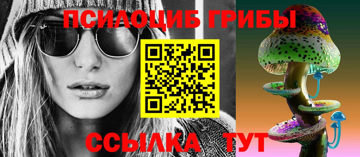 Псилоцибиновые грибы Magic Shrooms  Междуреченск  Псилоцибиновые грибы Cubensis 