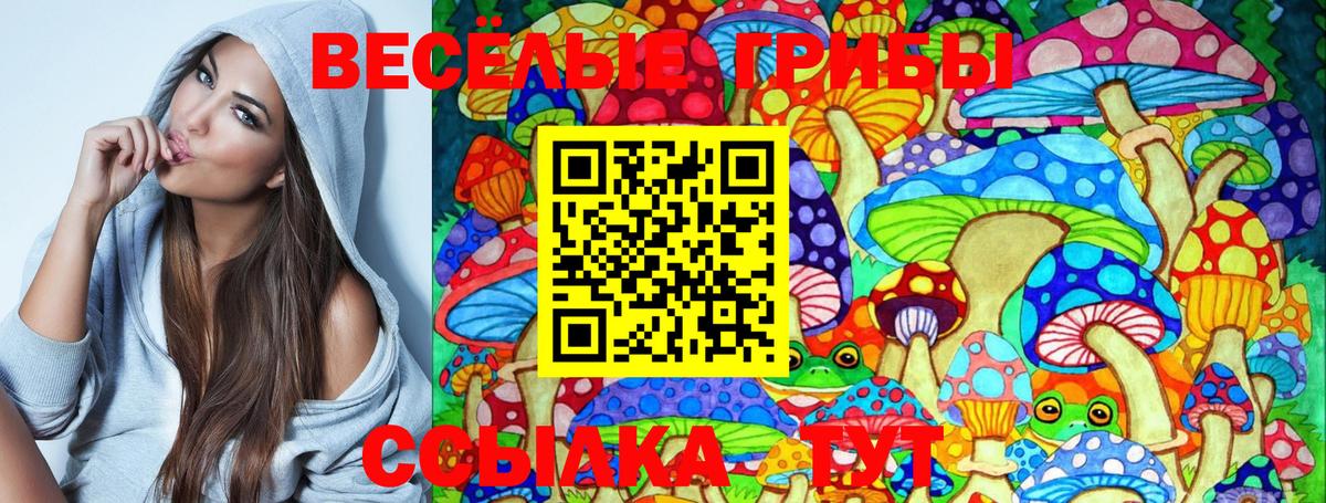 Междуреченск  Псилоцибиновые грибы ЛСД  Вход с VPN 