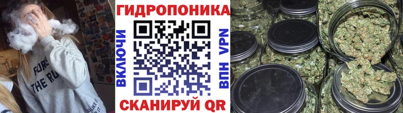 блэк спрут как зайти  Междуреченск  Канабис VHQ  цены  